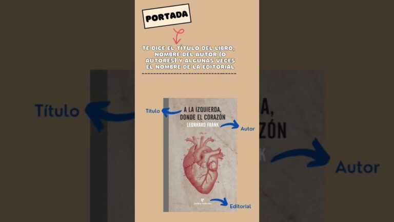 La importancia de la estructura externa de un libro