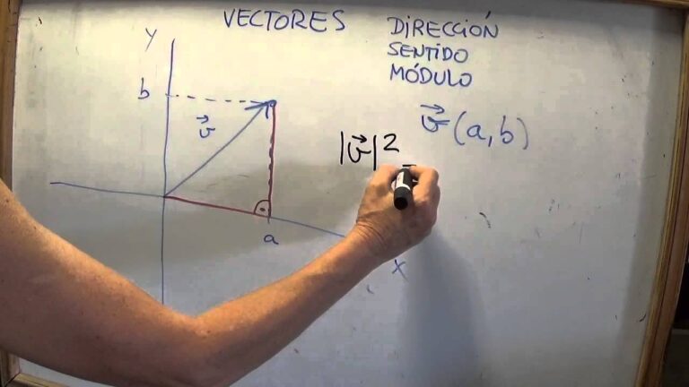Vector Modulo Bepco Cómo calcular el módulo de un vector – Educación y Publicaciones Editorial