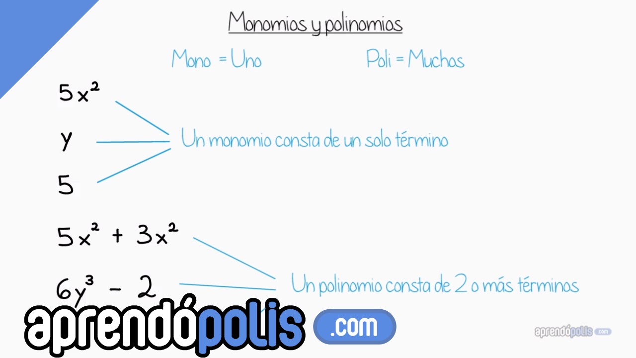 Diferencia entre monomio y polinomio: ¿Cuál es la clave?