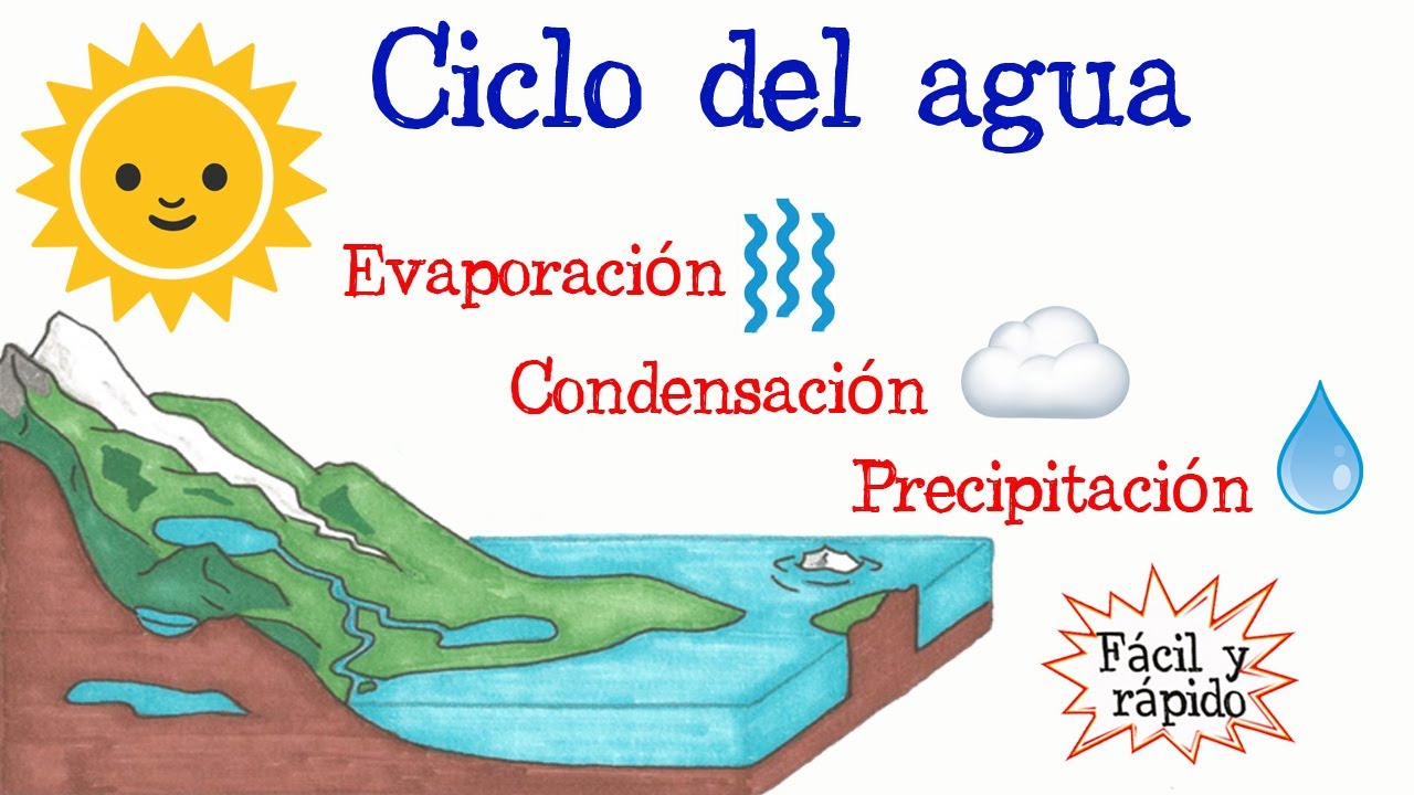 El ciclo del agua: resumen y explicación