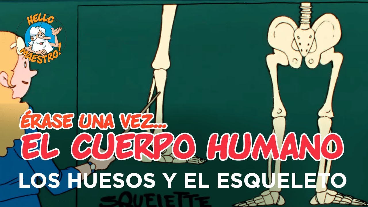 Érase una vez el cuerpo humano: Serie completa