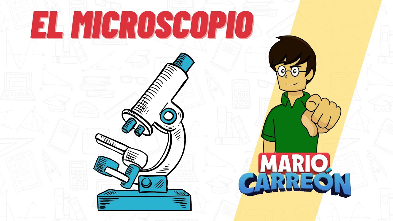 ¿Cuál es la utilidad del microscopio?